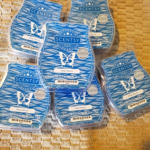 Scentsy Make Waves bars